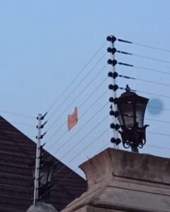 Electric Fence