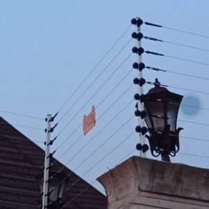 Electric Fence